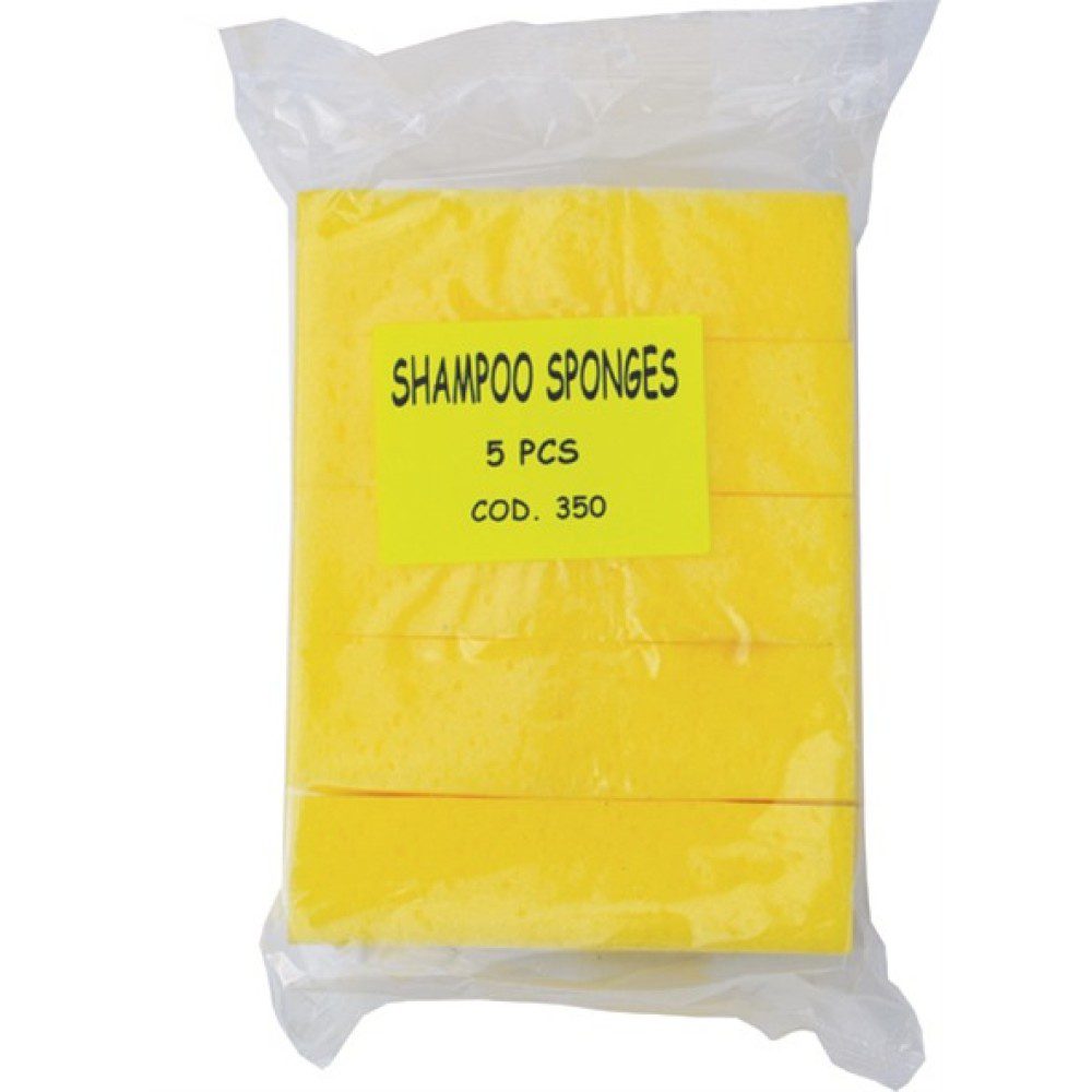 Σφουγγάρια πλυσίματος 5τμχ Autolegend