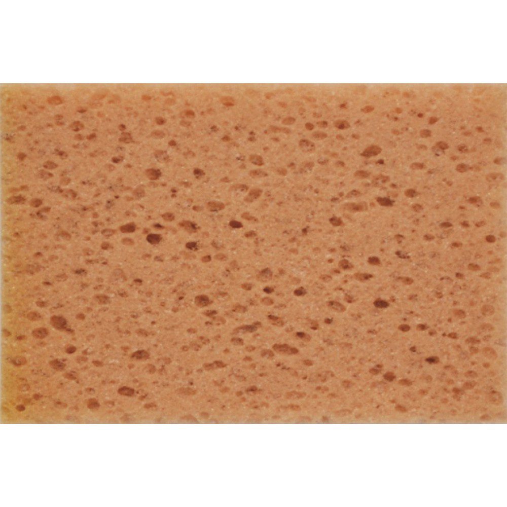 Σφουγγάρι πλυσίματος 1τμχ Autolegend